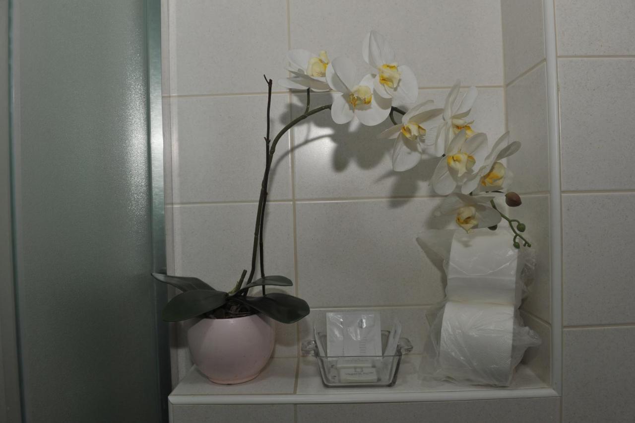 Angellina Apartmani Sremska Mitrovica Exteriör bild